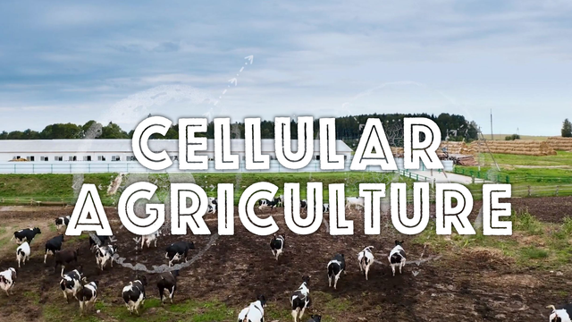 Cellular Agriculture: Working With New Harvest